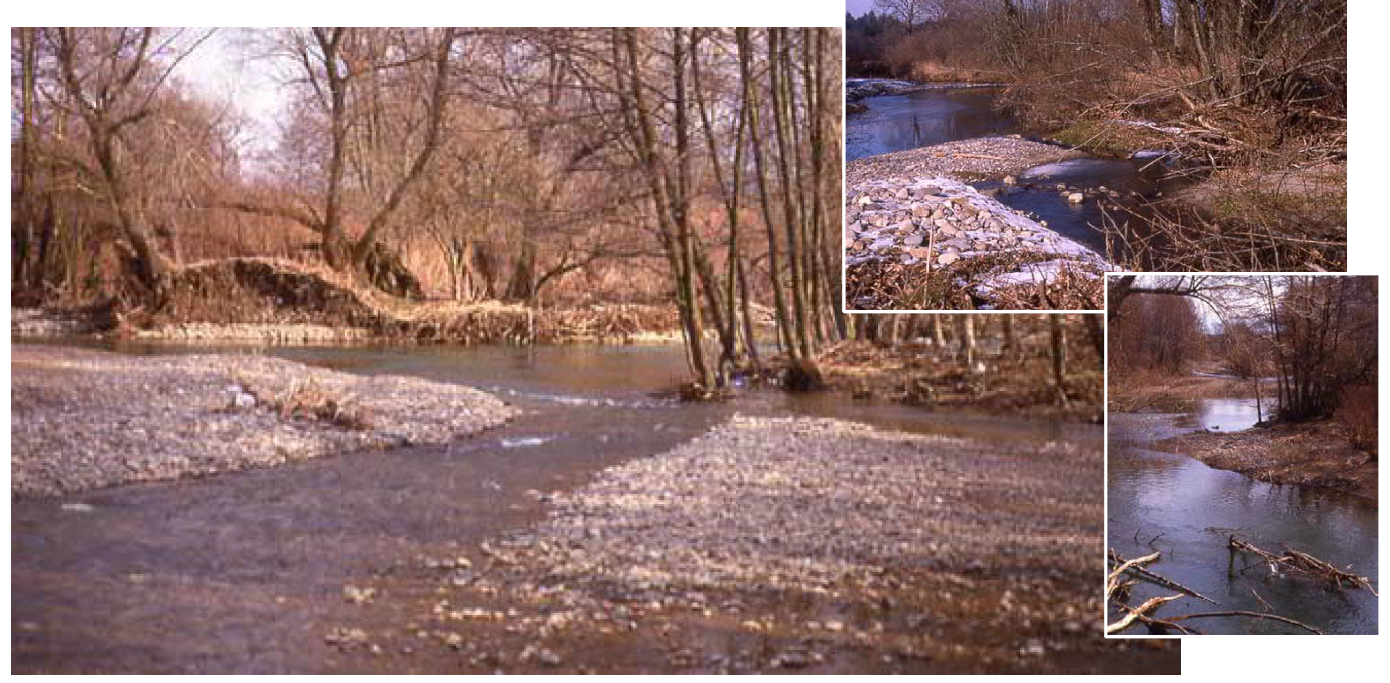 Plan directeur des eaux de la Birse, Office des ponts et chaussées du canton de berne 