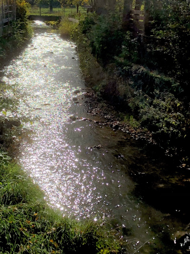 Plan directeur des eaux de la Suze, Office des ponts et chaussées du canton de berne