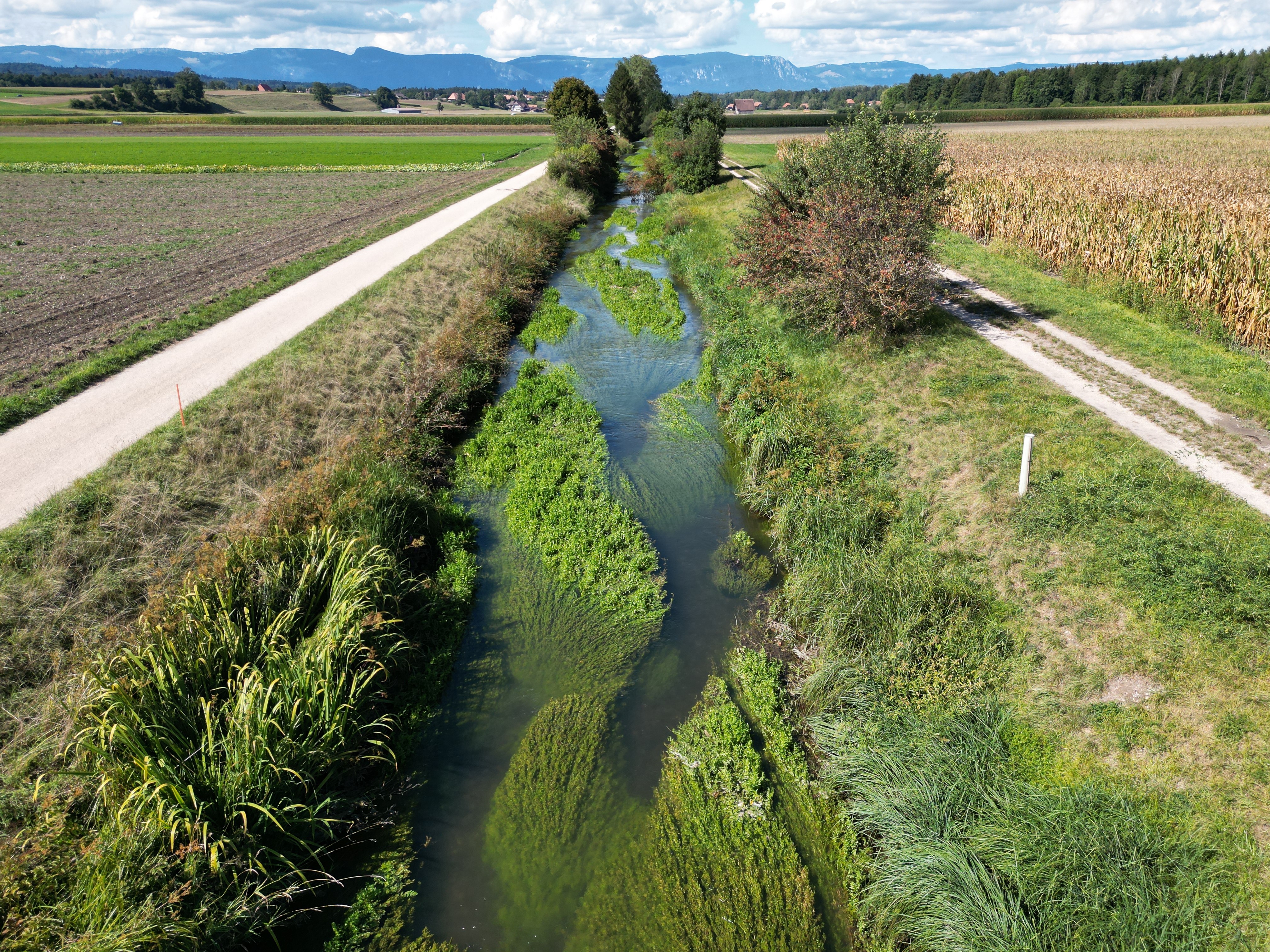 Gewässerrichtplan Urtenen, Tiefbauamt des Kantons Bern